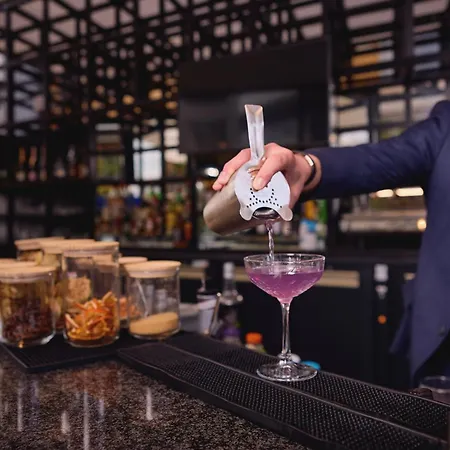 Der Valk Paris Cdg Airport Ξενοδοχείο
